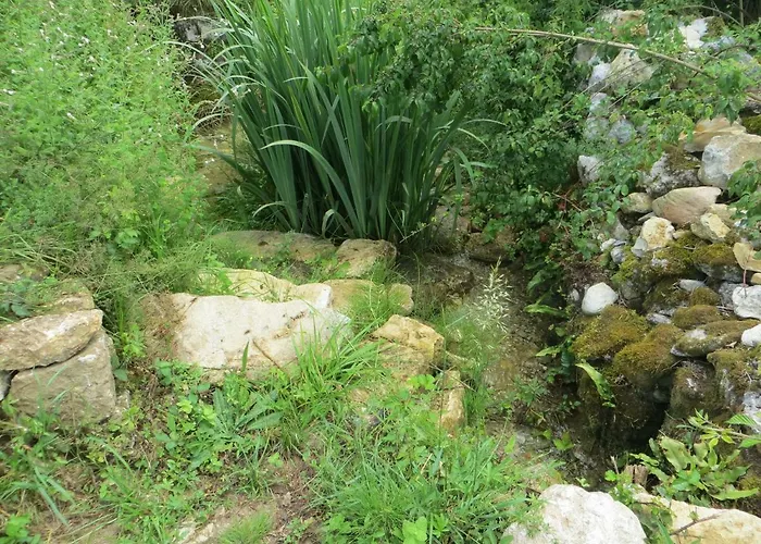 Les Jardins De Peychenval Lamonzie-Montastruc